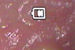 Auto Focus
