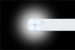 Auto Focus