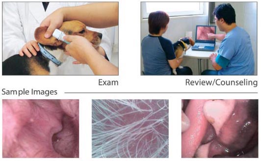 wireless video otoscope ME-16